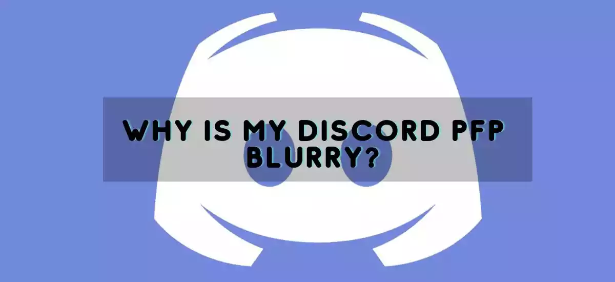 why is my discord pfp blurry?