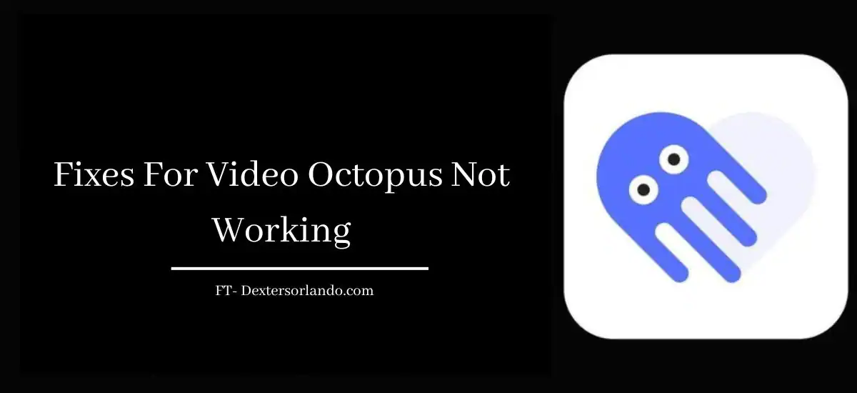 Video Octopus not working